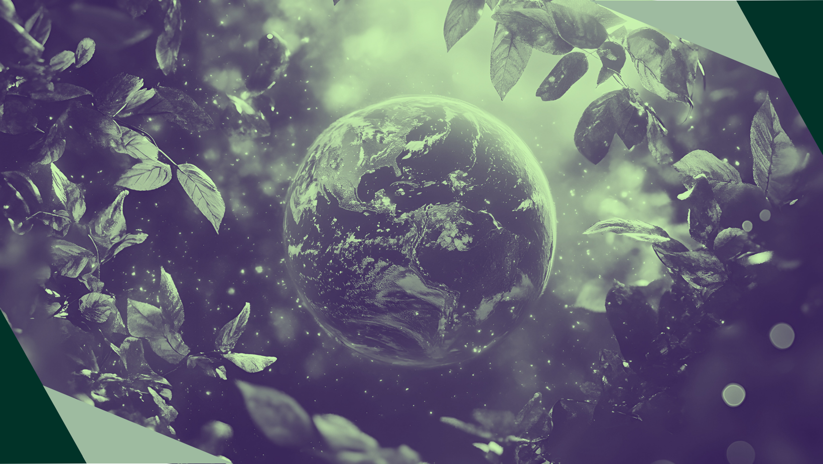A graphic depiction of Planet Earth floating amongst foliage