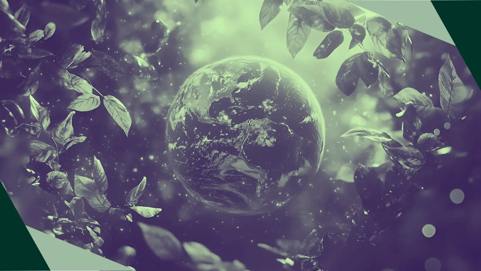 A graphic depiction of Planet Earth floating amongst foliage
